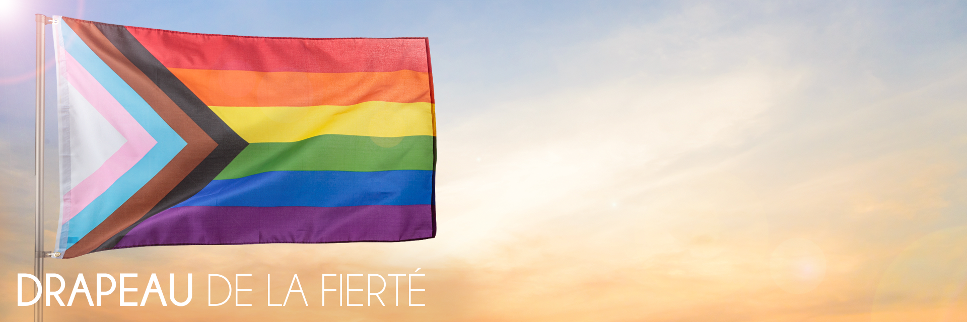 Lgbtq Droits Fierté Drapeau Lgbt Gay Fierté Rainbow Flag. Drapeau